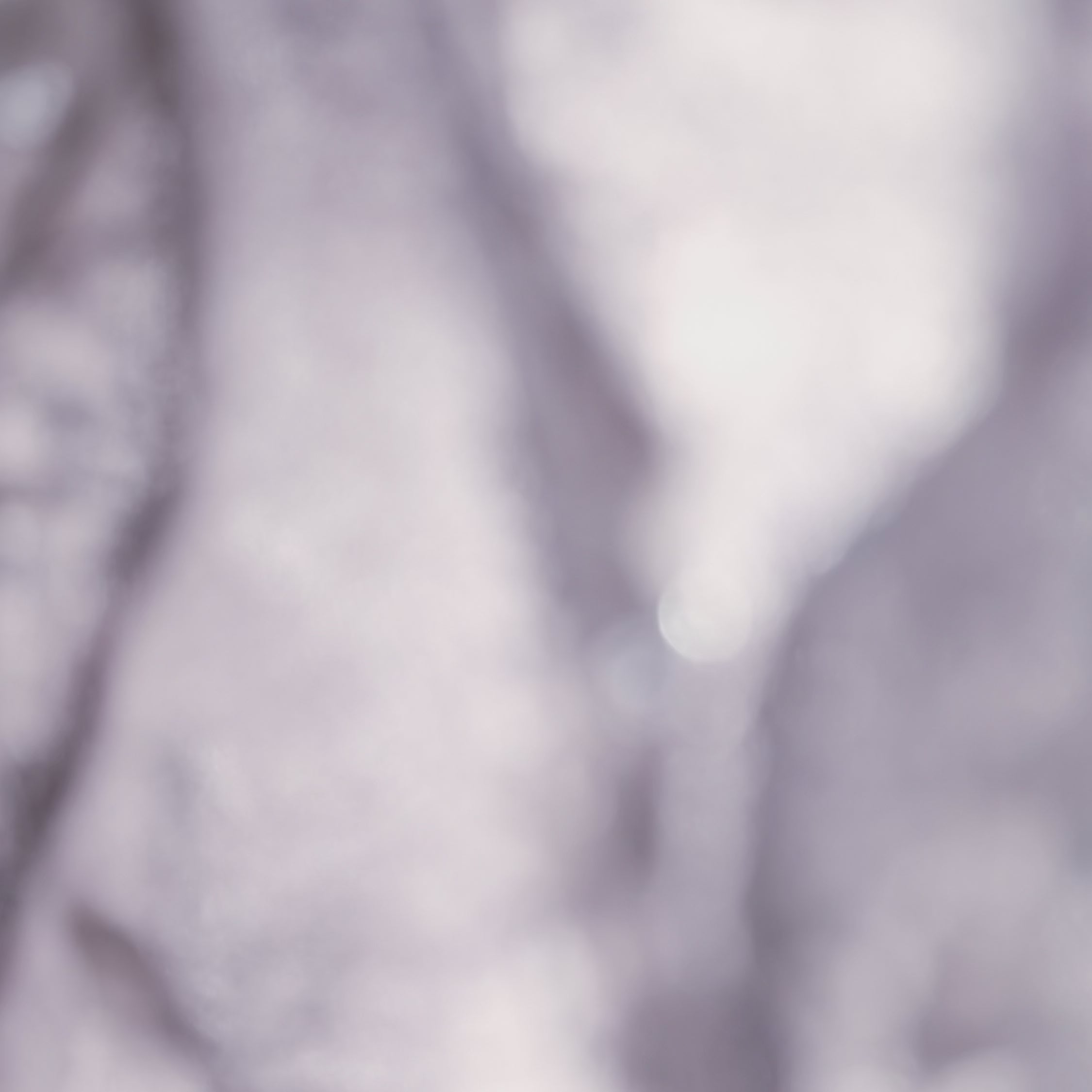 “Brunch at Ritz”霧紗立繡蕾絲上衣—Iris Haze 鳶尾霧影